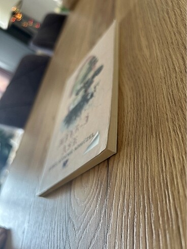 Mihr-i Aşk - Gönül Aydemir Adıgüzel - Görsel 3