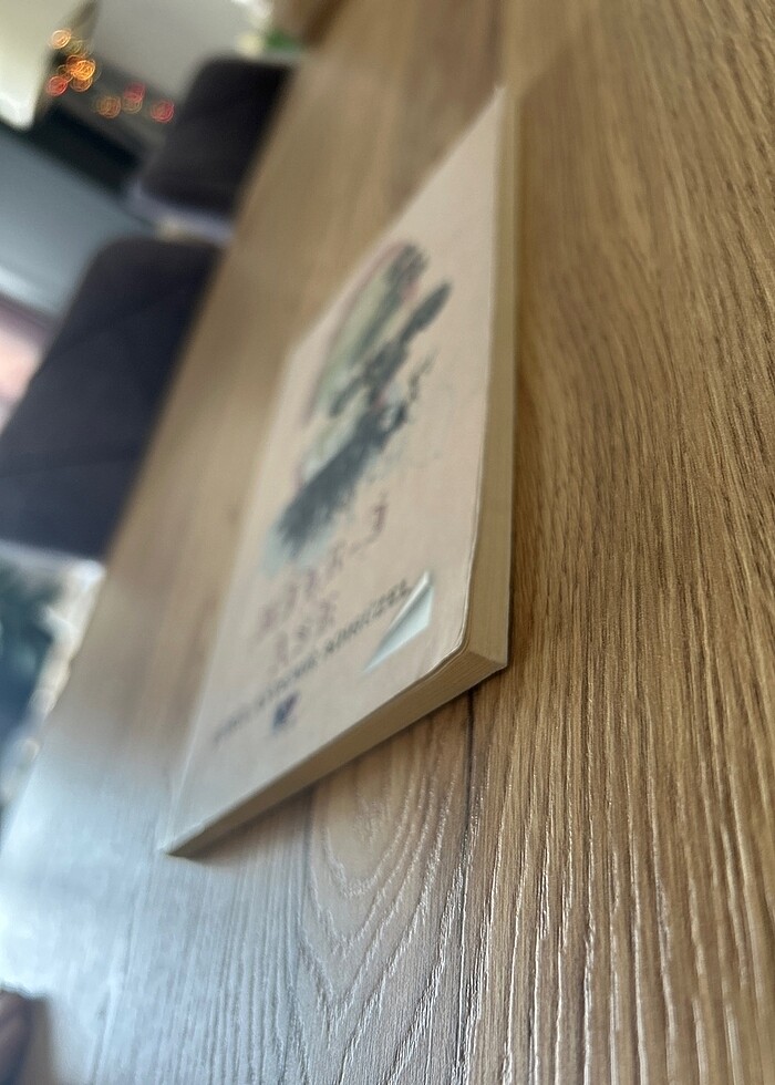 Mihr-i Aşk - Gönül Aydemir Adıgüzel - Görsel 3