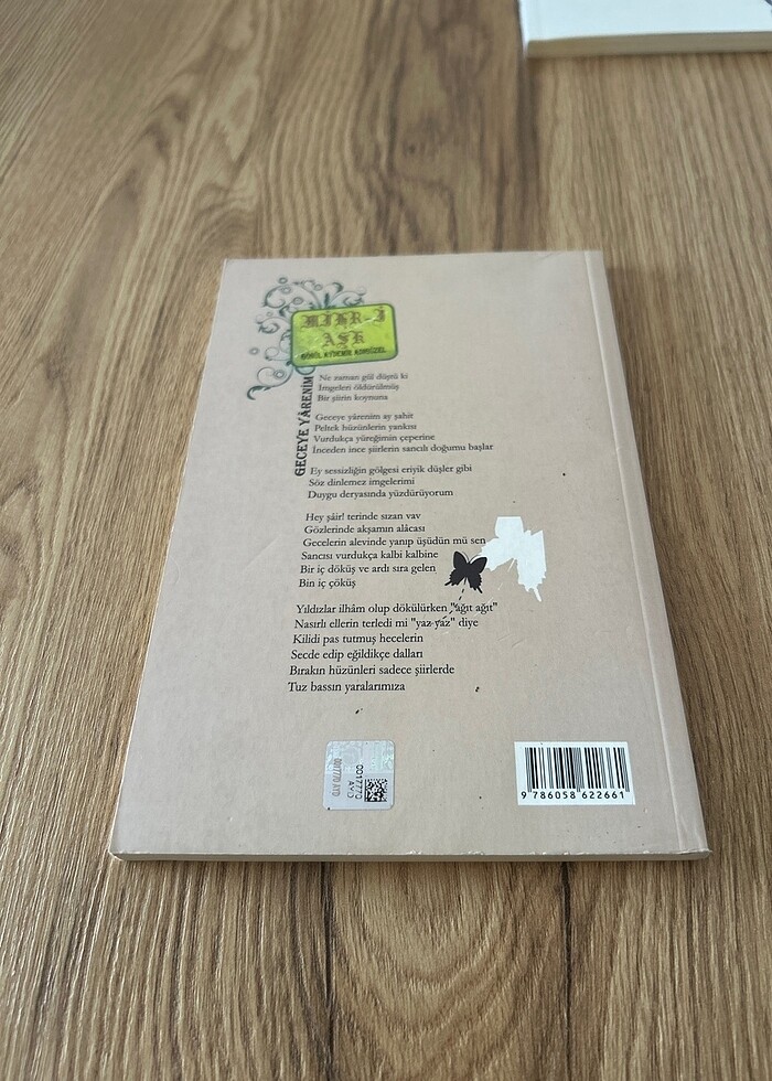 Mihr-i Aşk - Gönül Aydemir Adıgüzel - Görsel 2