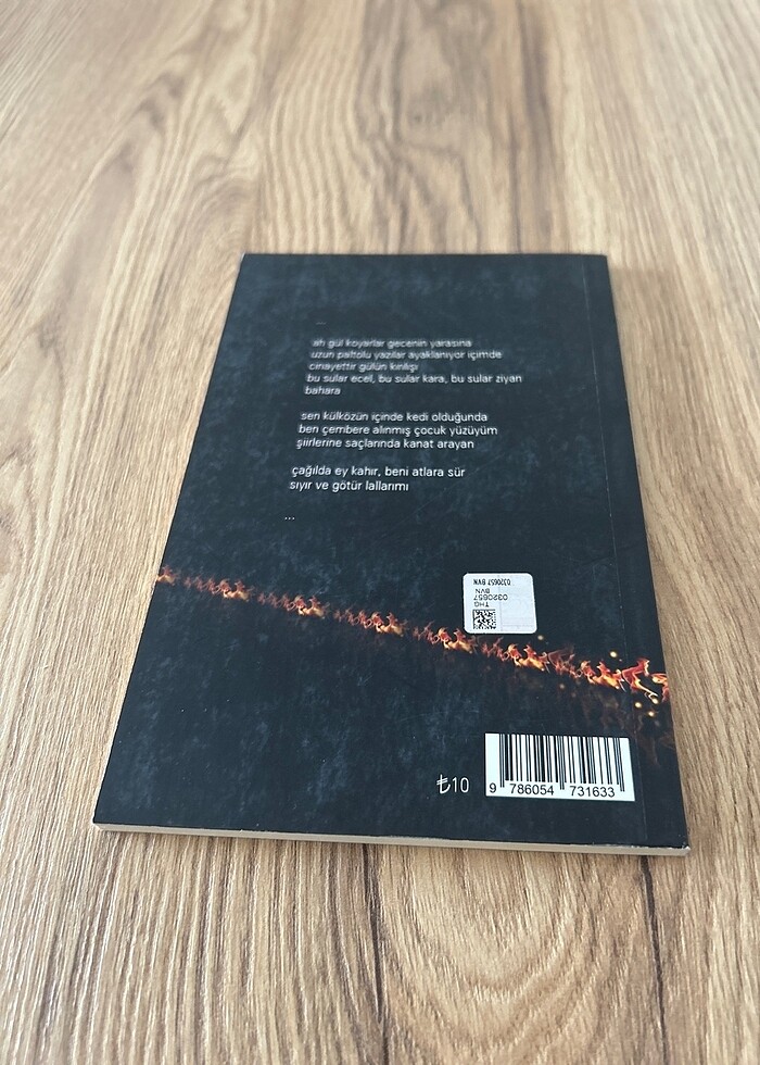 Güller ve Atlar - Fatih Akça - Görsel 2