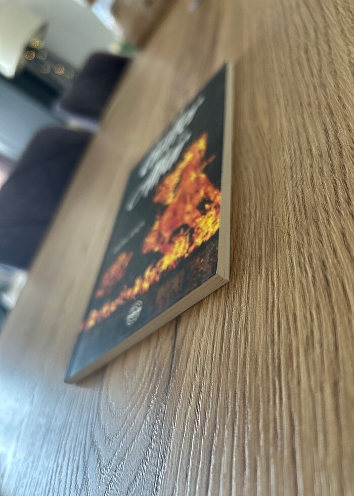 Güller ve Atlar - Fatih Akça - Görsel 3