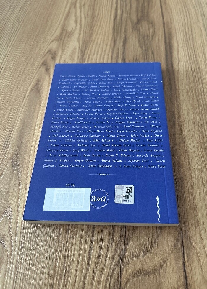 Kedi Şiirleri Antolojisi - Görsel 2