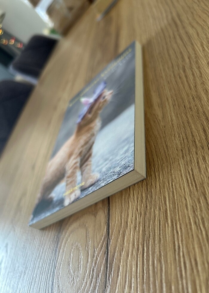 Kedi Şiirleri Antolojisi - Görsel 3