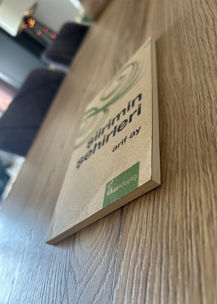 Şiirlerimin Şehirleri - Arif Ay - Görsel 3