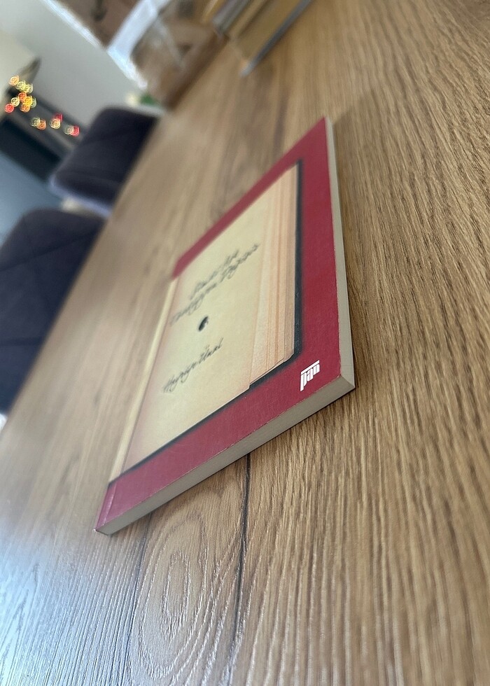 Şimdi Aşk Ebediyyen Değişir - Hayriye Ünal - Görsel 3