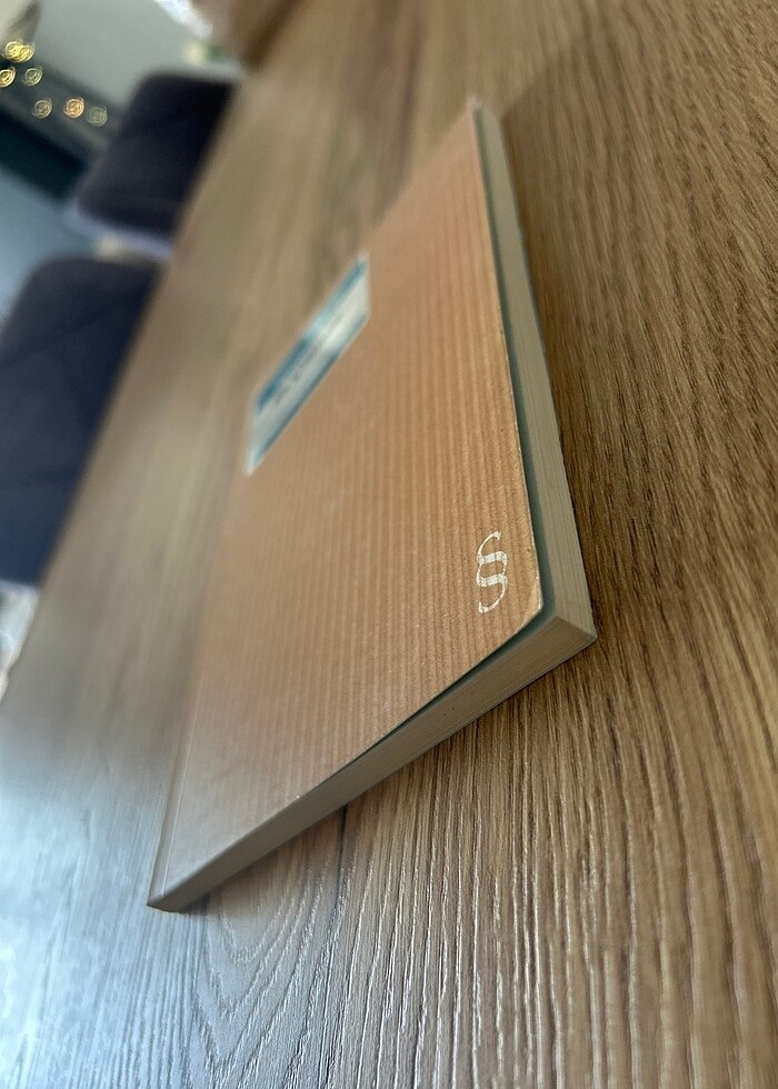 Su Çürüdü - Ahmet Telli - Görsel 3