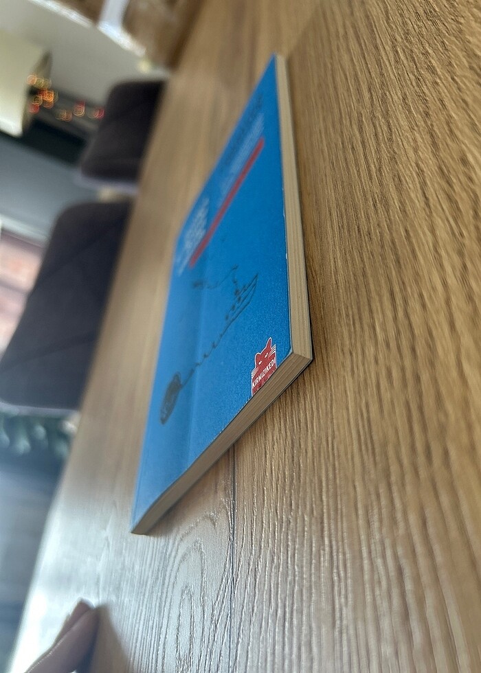 Lacivert bir oyundu ikimiz arasında - Selahattin Yolgiden - Görsel 3