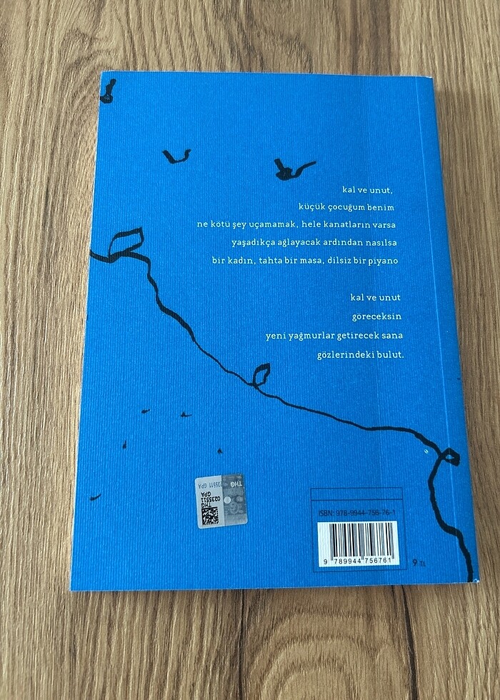 Lacivert bir oyundu ikimiz arasında - Selahattin Yolgiden - Görsel 2