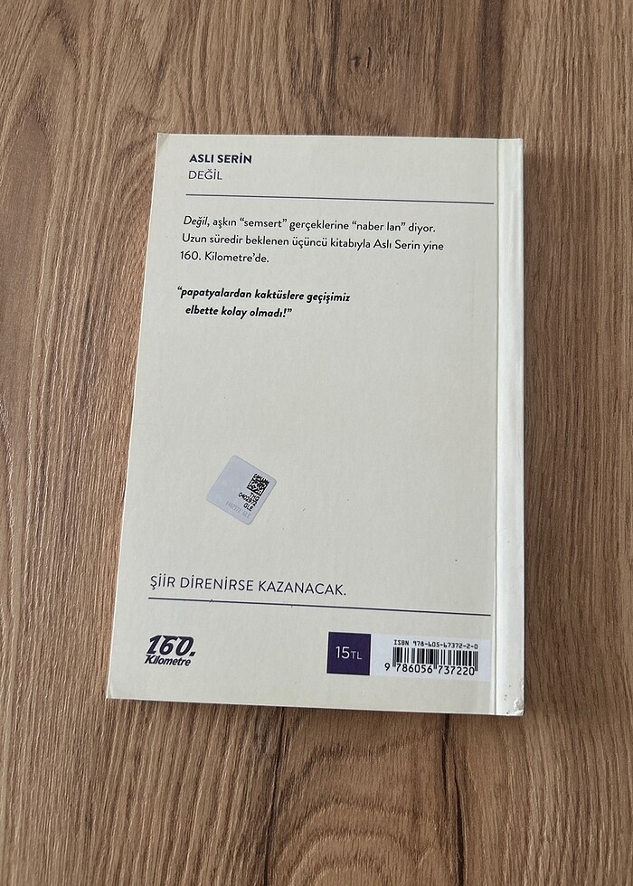 Değil - Aslı Serin - Görsel 2