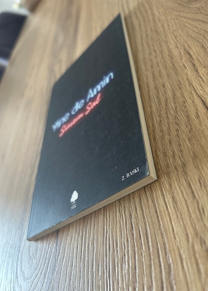 Yine de Amin - Sinem Sal - Görsel 3