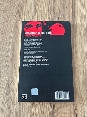 Sokaklar Tekin Değil - Altay Öktem - Görsel 2