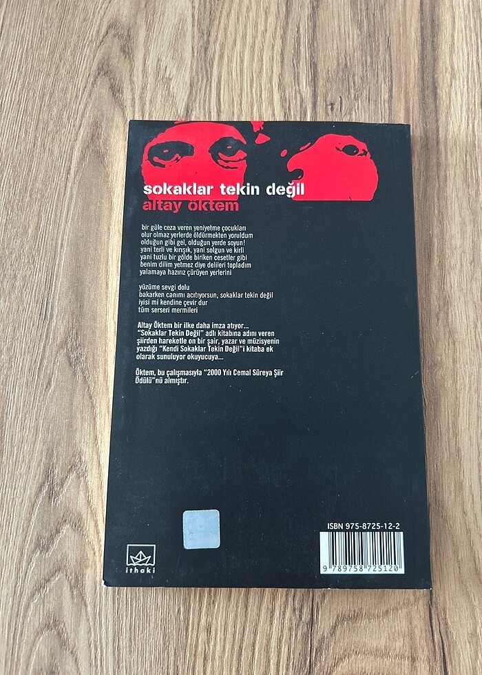 Sokaklar Tekin Değil - Altay Öktem - Görsel 2