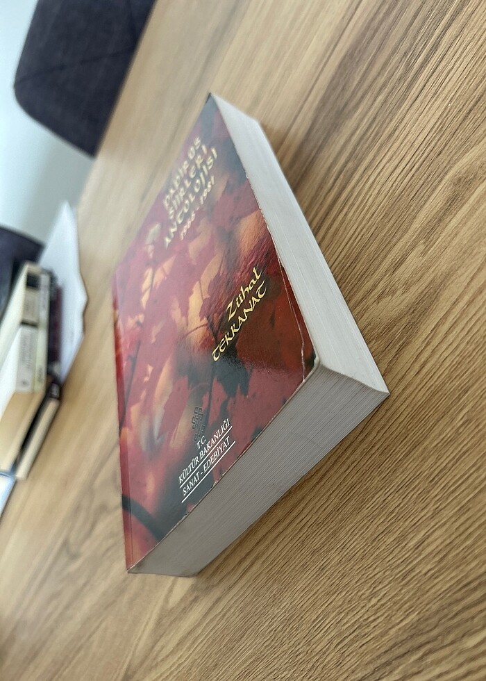 Papirüs Şiirleri Antolojisi - Zühal Tekkanat - Görsel 3