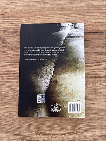 Yaz Dedi Tanrı - Dilek Akın - Görsel 2