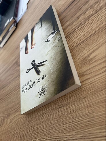 Yaz Dedi Tanrı - Dilek Akın - Görsel 3