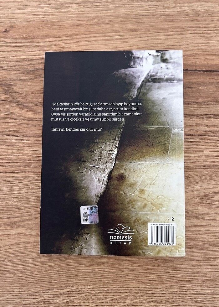 Yaz Dedi Tanrı - Dilek Akın - Görsel 2