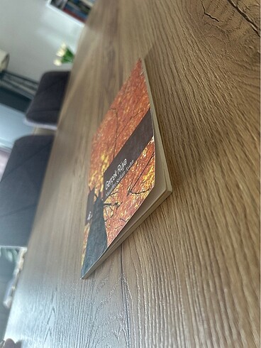 Gerçek Rüya - Muzaffer Serkan Aydın - Görsel 3