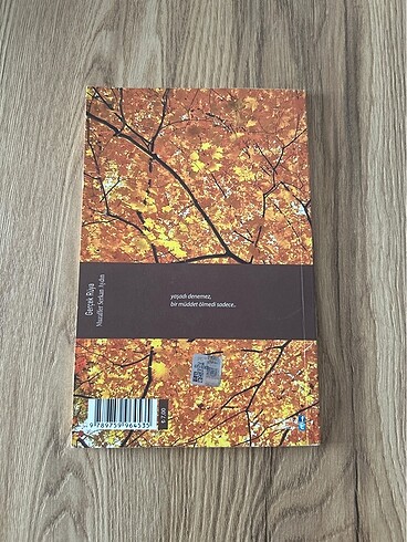 Gerçek Rüya - Muzaffer Serkan Aydın - Görsel 2