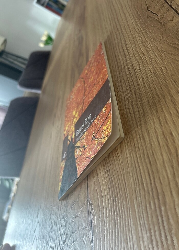 Gerçek Rüya - Muzaffer Serkan Aydın - Görsel 3