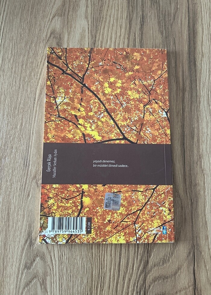 Gerçek Rüya - Muzaffer Serkan Aydın - Görsel 2