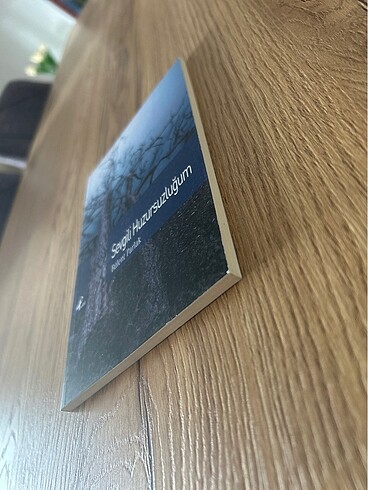 Sevgili Huzursuzluğum - Bülent Parlak - Görsel 3