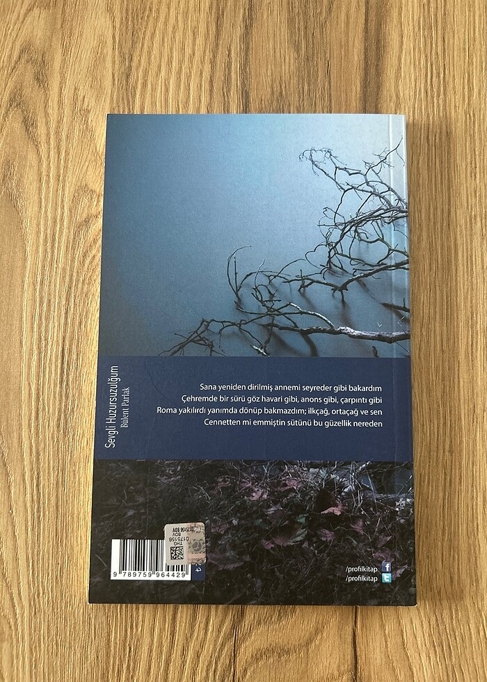 Sevgili Huzursuzluğum - Bülent Parlak - Görsel 2