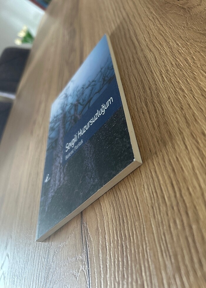 Sevgili Huzursuzluğum - Bülent Parlak - Görsel 3