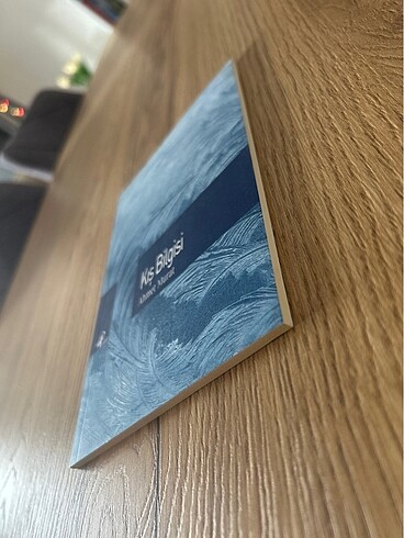 Kış Bilgisi - Ahmet Murat - Görsel 3