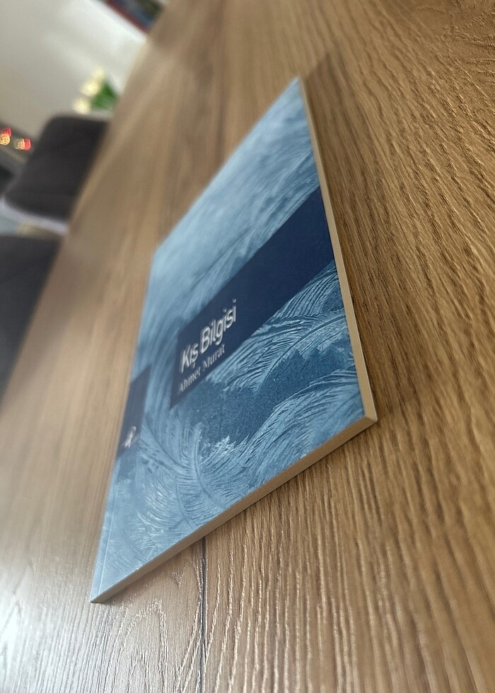 Kış Bilgisi - Ahmet Murat - Görsel 3