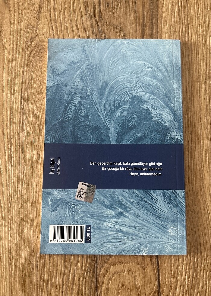 Kış Bilgisi - Ahmet Murat - Görsel 2