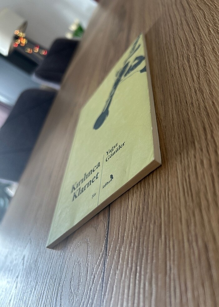 Kırılınca Klarnet - Yağız Gönüler - Görsel 3