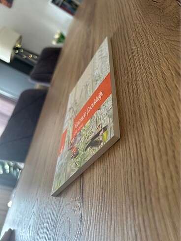 Yüzümün Çocukluğu - Said Yavuz - Görsel 3