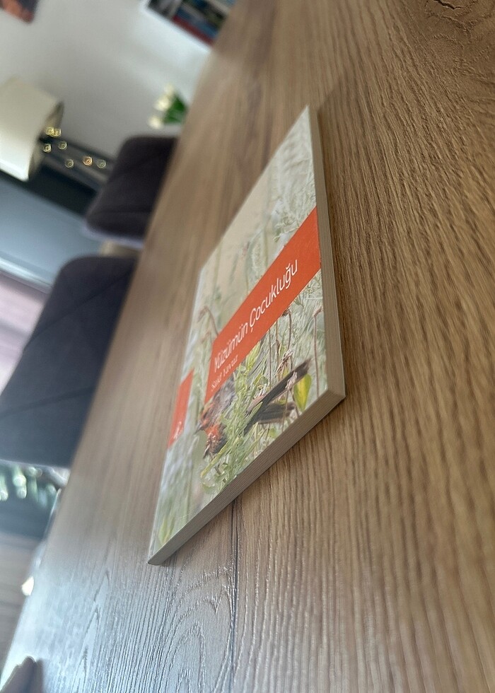 Yüzümün Çocukluğu - Said Yavuz - Görsel 3