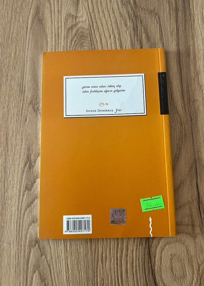 Yaz - Soner Demirbaş - Görsel 3