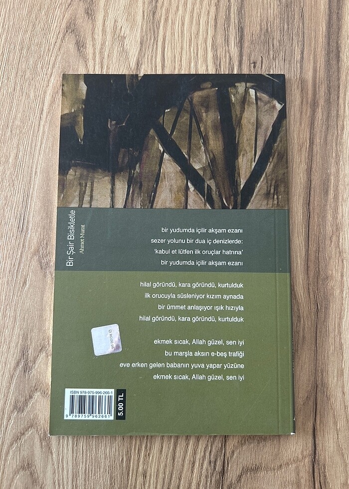 Bir Şair Bisikletle - Ahmet Murat - Görsel 2