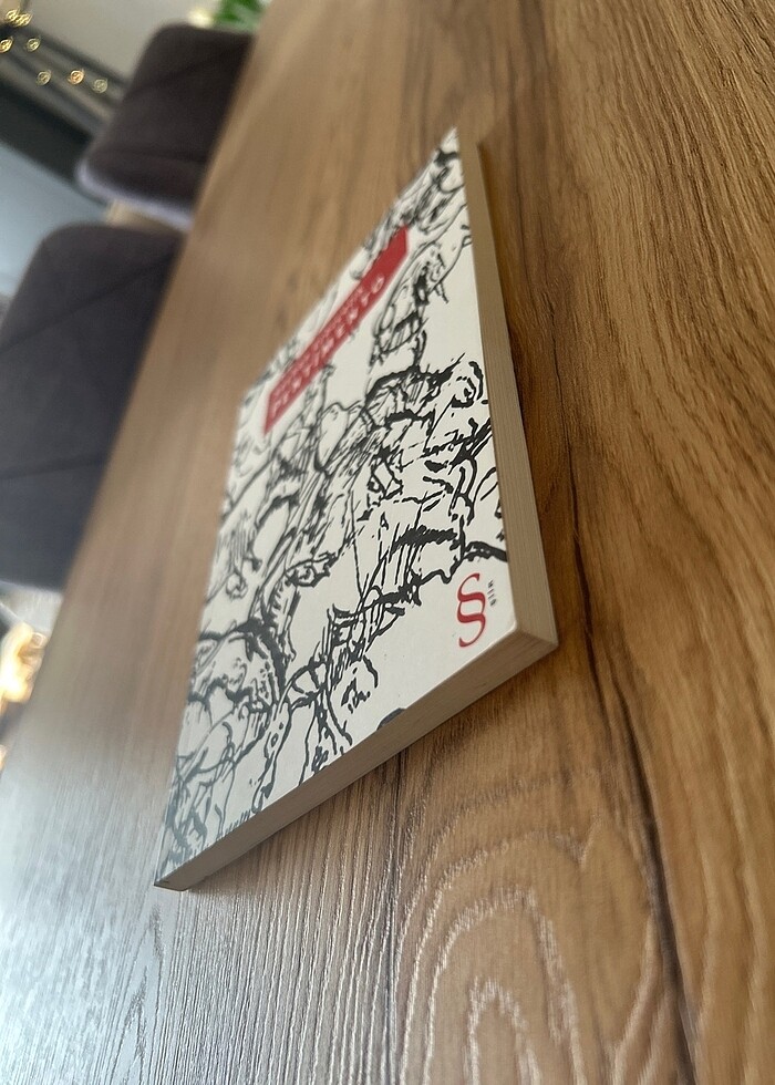 Pentimento - Seyhan Erözçelik - Görsel 3