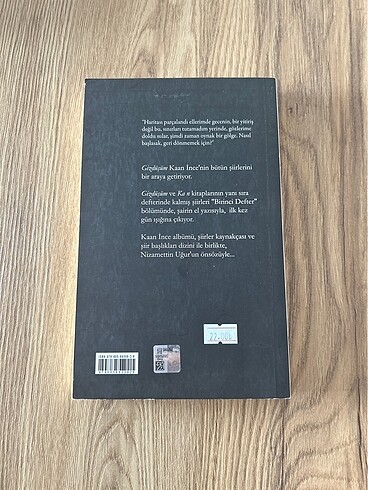Gizdüşüm / Ka n / Birinci Defter - Kaan İnce - Görsel 2
