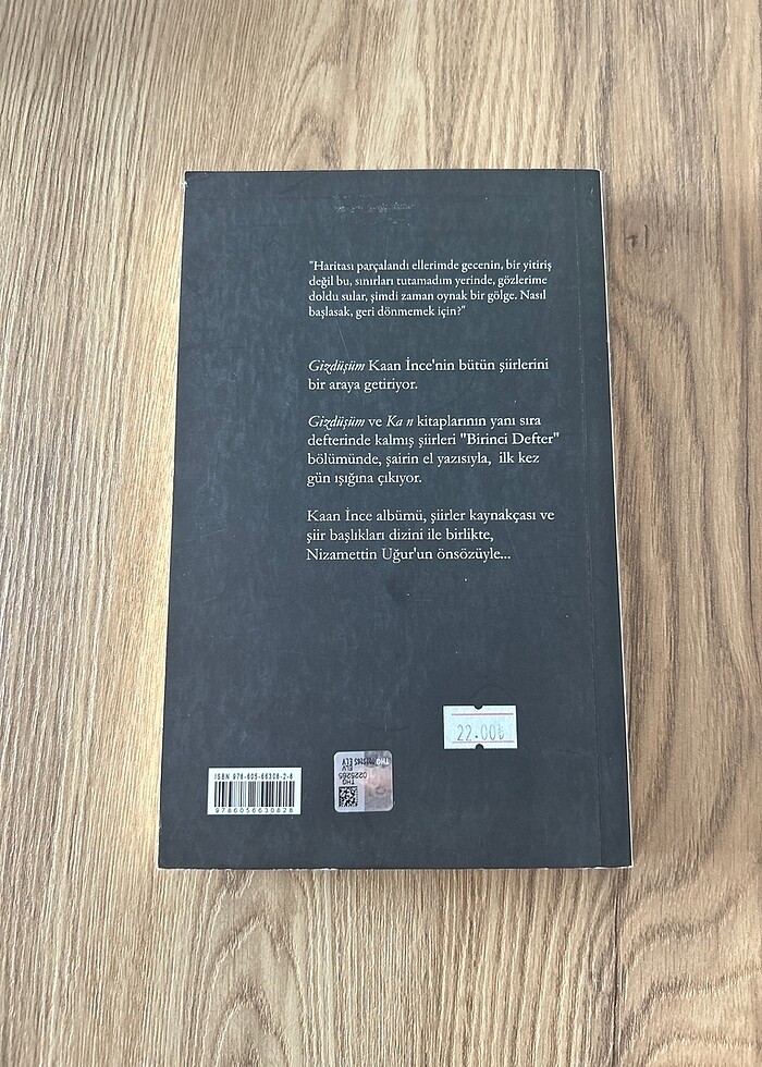 Gizdüşüm / Ka n / Birinci Defter - Kaan İnce - Görsel 2