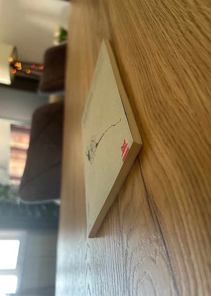 Belki Sessiz - Gonca Özmen - Görsel 3