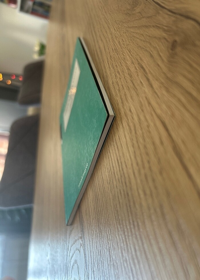 Perdesiz - Didem Gülçin Erdem - Görsel 3