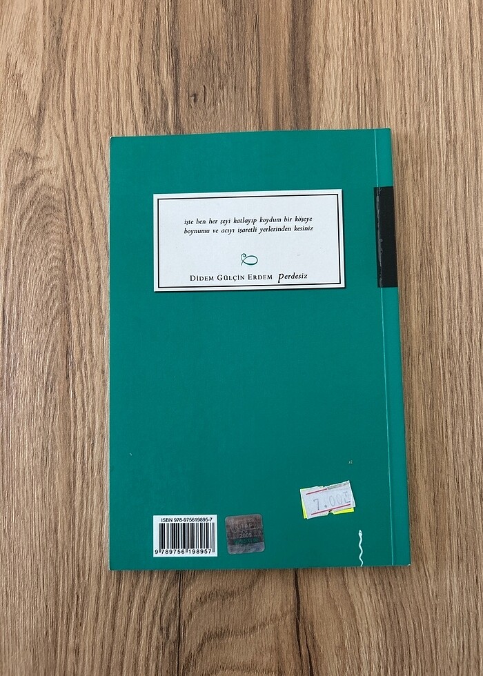 Perdesiz - Didem Gülçin Erdem - Görsel 2