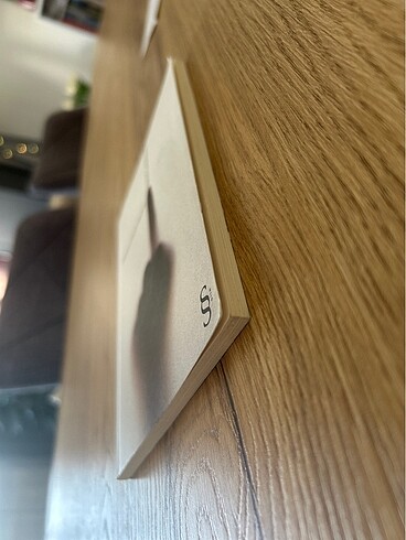 Olmayanım İçinizde - Didem Gülçin Erdem - Görsel 3