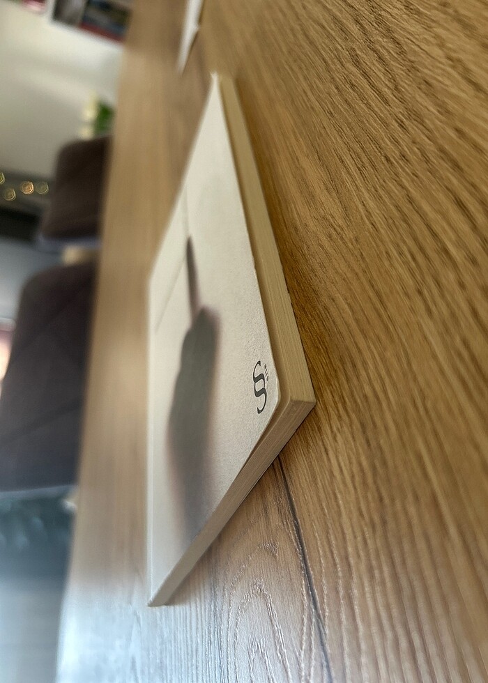 Olmayanım İçinizde - Didem Gülçin Erdem - Görsel 3