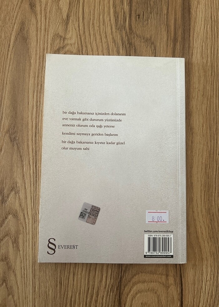 Olmayanım İçinizde - Didem Gülçin Erdem - Görsel 2