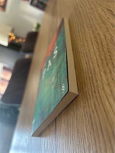 Pas - Ömer Erdem - Görsel 3