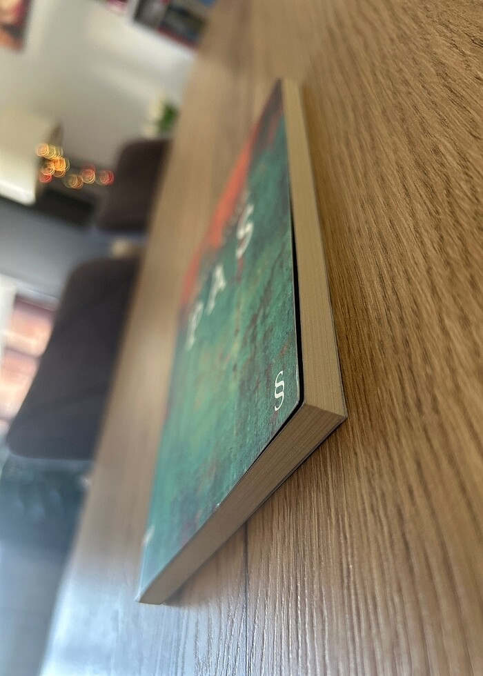 Pas - Ömer Erdem - Görsel 3