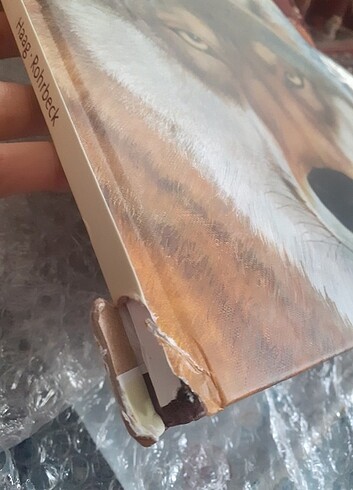  Beden Renk Tıpkısının aynısı orman hayvanları