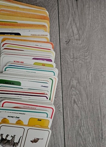  Beden Eğitici kartlar 