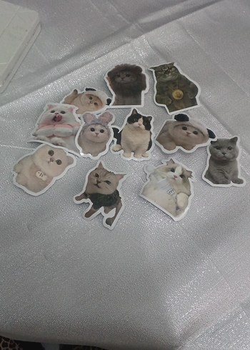 11 adet kedili sticker - Görsel 3