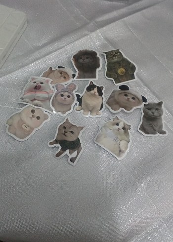 11 adet kedili sticker - Görsel 2